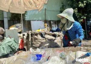Sản phẩm ef2981667337c6699f26 300x212 — Công Ty TNHH Xuất Nhập Khẩu Hoàng Ngọc Diệp — MST 3603593482