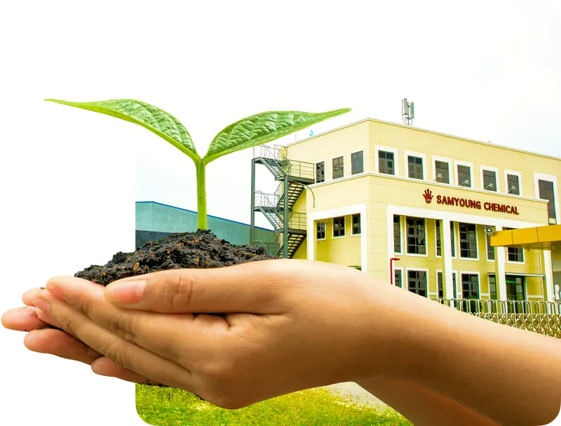 Sản phẩm more — Màng Nhựa SAMYOUNG - Công Ty TNHH SAMYOUNG CHEMICAL Việt Nam — MST 3603600958