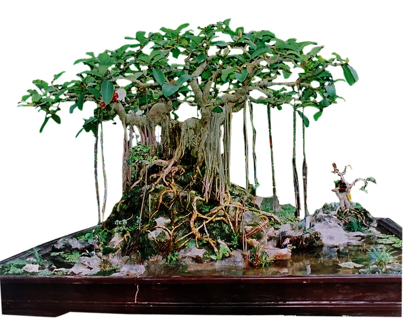 Sản phẩm 3 5699 — Công Ty TNHH Lộc Phát Đồng Nai — MST 3603624236