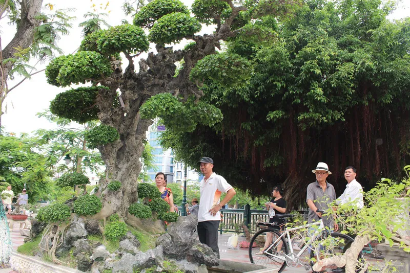 Sản phẩm cay canh_keao 2976 — Công Ty TNHH Lộc Phát Đồng Nai — MST 3603624236