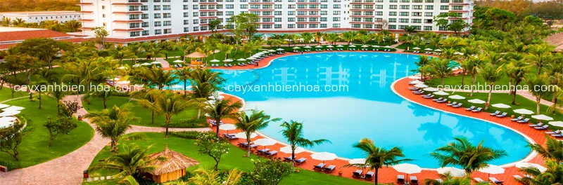 Sản phẩm ho boi 9747 — Công Ty TNHH Lộc Phát Đồng Nai — MST 3603624236