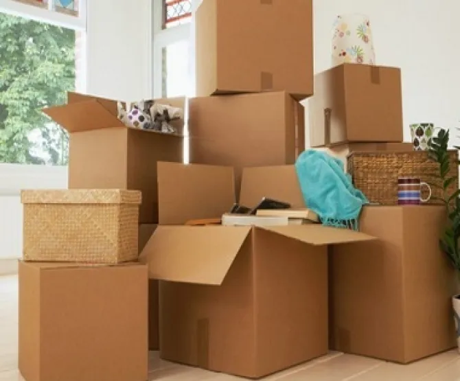 Sản phẩm 15982331542 — Thùng Carton Đồng Nai - Công Ty TNHH Vương Gia Nam — MST 3603627452