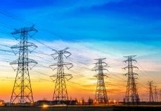 Sản phẩm iuh 4733 — Thiết Bị Điện Đồng Nai - Công Ty TNHH Thiết Bị Điện Đồng Nai — MST 3603637725