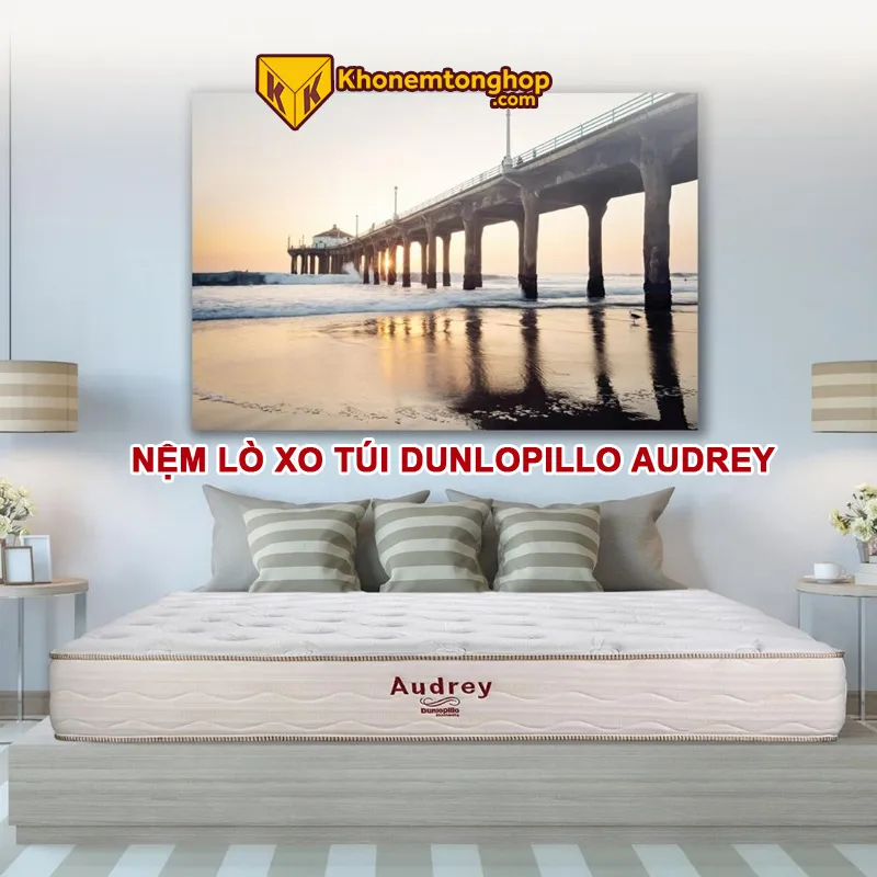 Sản phẩm nem lo xo tui dunlopillo audrey 1 — Công Ty Cổ Phần Đầu Tư Và Phát Triển Kinh Doanh Hoàng Phát — MST 3603658186