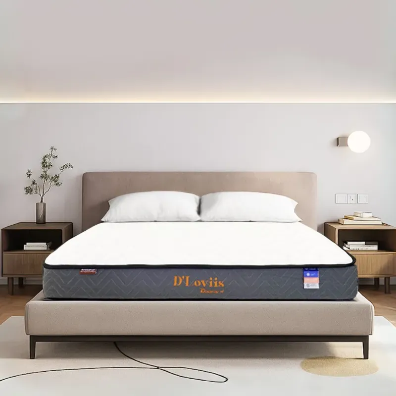 Sản phẩm nem lo xo tui dloviis hydric 3 — Công Ty Cổ Phần Đầu Tư Và Phát Triển Kinh Doanh Hoàng Phát — MST 3603658186
