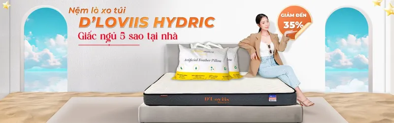 Sản phẩm Nem lo xo tui DLoviis Hydric 1536x480 — Công Ty Cổ Phần Đầu Tư Và Phát Triển Kinh Doanh Hoàng Phát — MST 3603658186