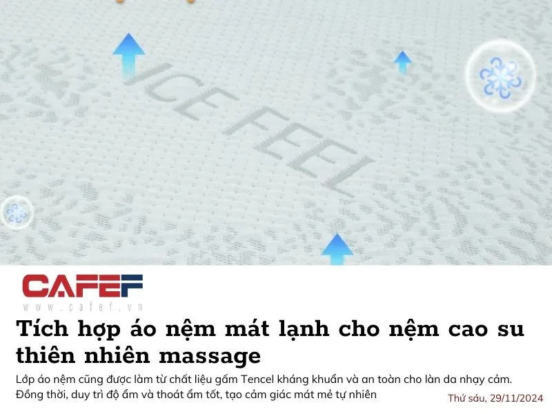 Sản phẩm Tich hop ao nem mat lanh cho nem cao su thien nhien massage — Công Ty Cổ Phần Đầu Tư Và Phát Triển Kinh Doanh Hoàng Phát — MST 3603658186