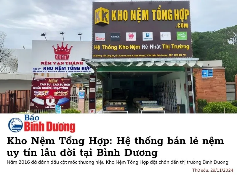 Sản phẩm he thong ban le nem binh duong 1 — Công Ty Cổ Phần Đầu Tư Và Phát Triển Kinh Doanh Hoàng Phát — MST 3603658186