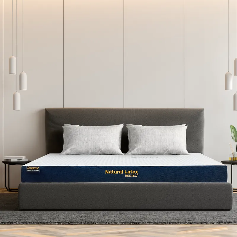 Sản phẩm nem cao su thien nhien beetex pure em ai nang do tot — Công Ty Cổ Phần Đầu Tư Và Phát Triển Kinh Doanh Hoàng Phát — MST 3603658186