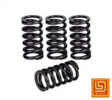 Sản phẩm lo xo dau 6099 — Công Ty TNHH Sản Xuất Kim Loại Chính Xác Regent Việt Nam — MST 3603682816