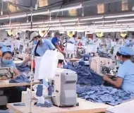 Sản phẩm doanh nghiep 1608099030696599581665 6780 — Công Ty TNHH TM DV Nhân Sinh Phú — MST 3603698446