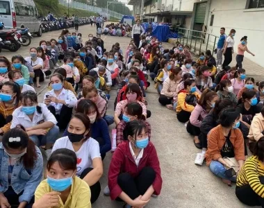 Sản phẩm z302362322371606b84bab5228812501985d6efa675bae 2369 — Công Ty TNHH TM DV Nhân Sinh Phú — MST 3603698446