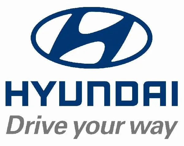 Sản phẩm Hyunhdai — Công Ty Cổ Phần Dịch Vụ Bảo Vệ Chuyên Nghiệp Boss — MST 3603705679