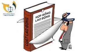 Sản phẩm tu van luat lao dong — Công Ty CP Tư Vấn Và Dịch Vụ Nguyễn Hiếu — MST 3603722057