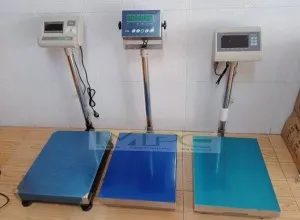 Sản phẩm cho thue can ban dien tu_s3851 — Cân Điện Tử Minh Phúc - Công Ty TNHH TM DV SX Xây Dựng Minh Phúc — MST 3603734503