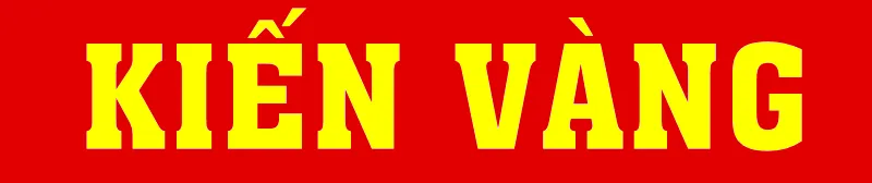 Sản phẩm 1 — Công Ty TNHH Thương Mại Tổng Hợp Kiến Vàng — MST 3603736081