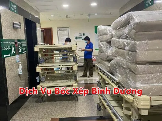 Sản phẩm bang gia dich vu boc xep binh duong tron goi gia re nam 2021 1 533x400 — Công Ty TNHH Thương Mại Tổng Hợp Kiến Vàng — MST 3603736081
