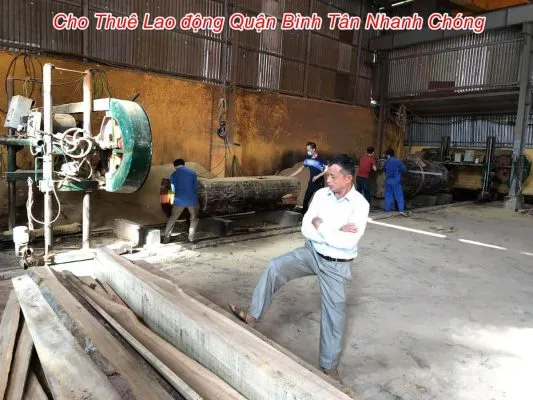 Sản phẩm cho thua lao dong quan binh tan 533x400 — Công Ty TNHH Thương Mại Tổng Hợp Kiến Vàng — MST 3603736081