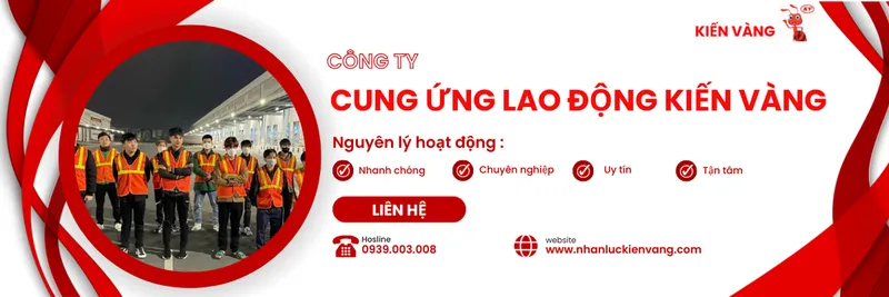 Sản phẩm nhan luc kien vang — Công Ty TNHH Thương Mại Tổng Hợp Kiến Vàng — MST 3603736081