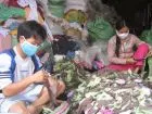 Sản phẩm gielaumoitruong 3127.JPG — Vải Lau Trung Kiên - Công Ty TNHH Vải Lau Trung Kiên — MST 3603762821
