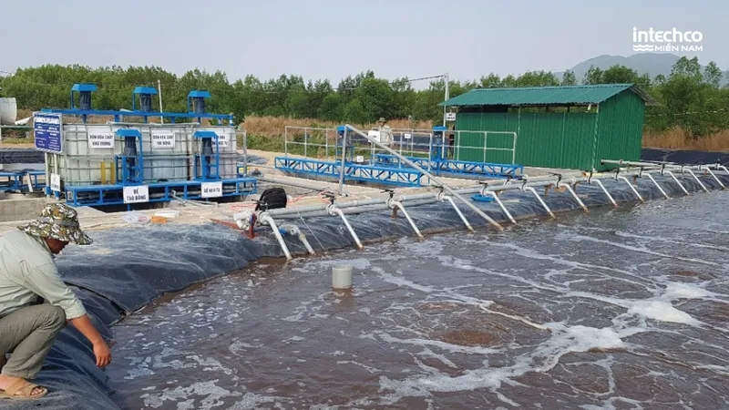 Sản phẩm He thong be Aeroten — Xử Lý Nước Thải Intechco Miền Nam - Công Ty TNHH Intechco Miền Nam — MST 3603789421