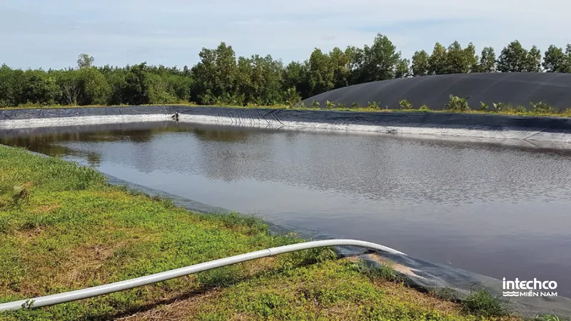 Sản phẩm He thong ham BIOGAS va ho tuy nghi trai chan nuoi 10.000 heo hau bi — Xử Lý Nước Thải Intechco Miền Nam - Công Ty TNHH Intechco Miền Nam — MST 3603789421