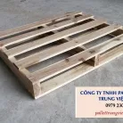 Sản phẩm anh bai 81 6456 — Pallet Trung Việt Phát - Công Ty TNHH Pallet Nhựa Gỗ Trung Việt Phát — MST 3603802150