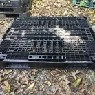 Sản phẩm palet nhua 24 1597 — Pallet Trung Việt Phát - Công Ty TNHH Pallet Nhựa Gỗ Trung Việt Phát — MST 3603802150