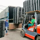 Sản phẩm screenshot1739418747 3954 — Pallet Trung Việt Phát - Công Ty TNHH Pallet Nhựa Gỗ Trung Việt Phát — MST 3603802150