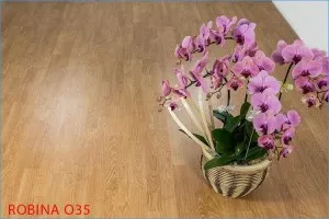 Sản phẩm san go cong nghiep robina 8mm ban lon o35_s2021 — Công Ty TNHH TM DV XD Hoàng An — MST 3603826602