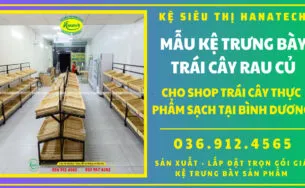 Sản phẩm gia ke trung bay trai cay tai binh duong 305x188 — Công Ty TNHH Hanatech Việt Nam — MST 3603830221