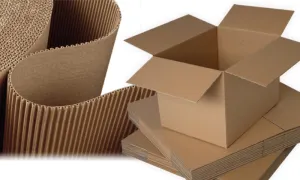 Sản phẩm cac loai giay lam thung carton 1 300x180 — Thùng Carton Nhất Tín An - Công Ty TNHH Bao Bì Nhất Tín An — MST 3603836664