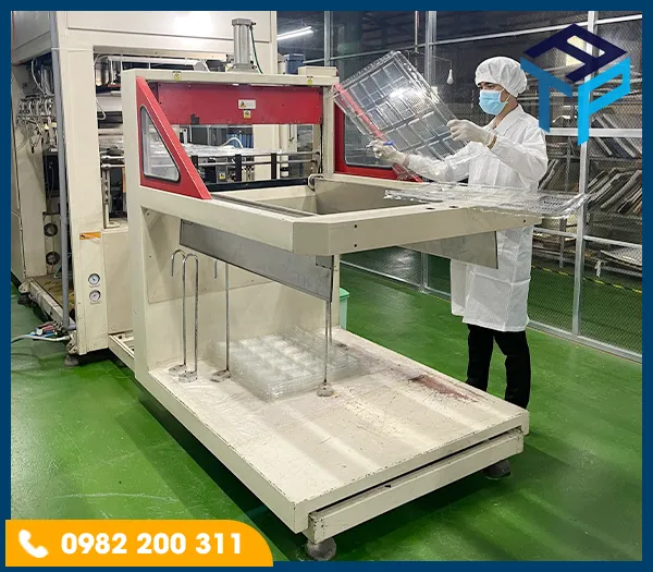 Sản phẩm 2 — Khay Nhựa Định Hình Tín An Phát - Công Ty TNHH Bao Bì Tín An Phát — MST 3603854399