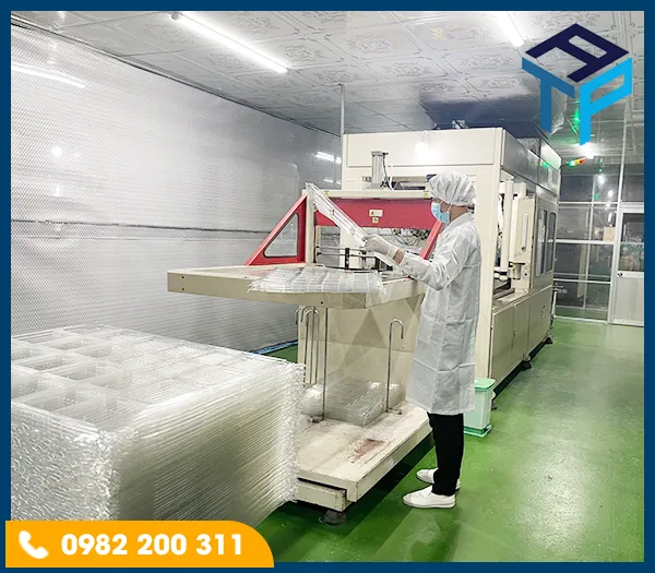 Sản phẩm 7 — Khay Nhựa Định Hình Tín An Phát - Công Ty TNHH Bao Bì Tín An Phát — MST 3603854399