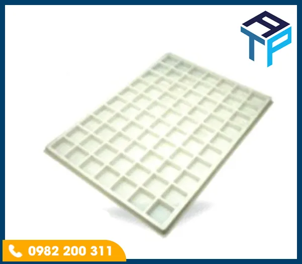 Sản phẩm pe — Khay Nhựa Định Hình Tín An Phát - Công Ty TNHH Bao Bì Tín An Phát — MST 3603854399