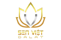 Sản phẩm xaydungsenviet — Công Ty TNHH Dona Media — MST 3603868031