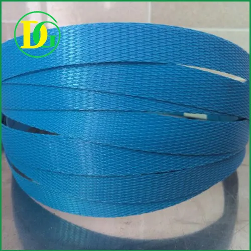 Sản phẩm day dai PP (3) — Chi Nhánh Công Ty TNHH Đỗ Gia Plastic — MST 3603888616