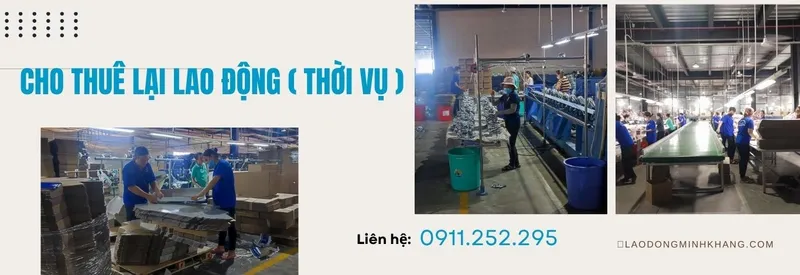 Sản phẩm 2 21081 — Lao Động Minh Khang Dona - Công Ty TNHH Minh Khang Dona — MST 3603905854