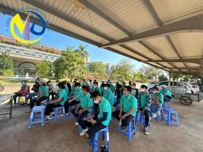 Sản phẩm 6 1339 — Lao Động Minh Khang Dona - Công Ty TNHH Minh Khang Dona — MST 3603905854