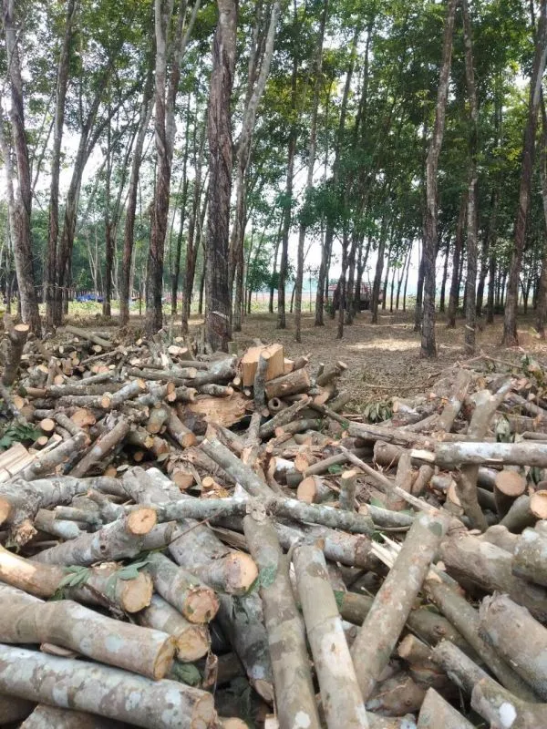Sản phẩm cui cao su_800x800 — Công Ty TNHH Năng Lượng Xanh Tấn Phát — MST 3603946441