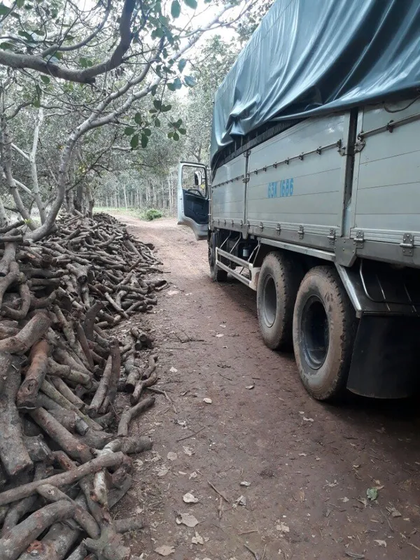 Sản phẩm sl 3.JPG — Công Ty TNHH Năng Lượng Xanh Tấn Phát — MST 3603946441