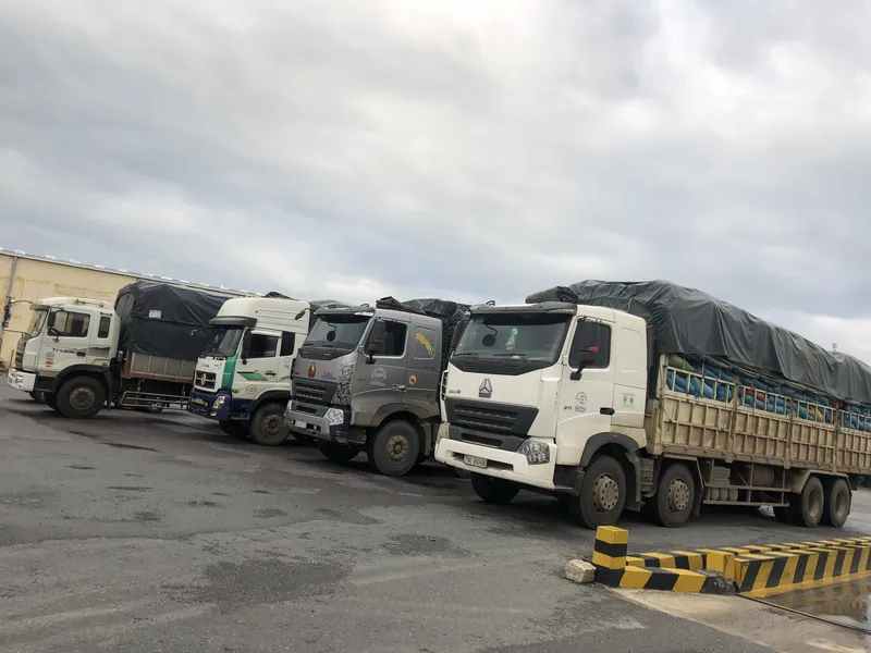 Sản phẩm sl 4.JPG — Công Ty TNHH Năng Lượng Xanh Tấn Phát — MST 3603946441