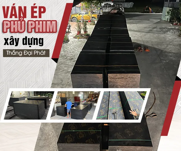 Sản phẩm gioi thieu SUA — Ván ép Phủ Phim Thắng Đại Phát - Công Ty TNHH Ván ép Thắng Đại Phát — MST 3603997703