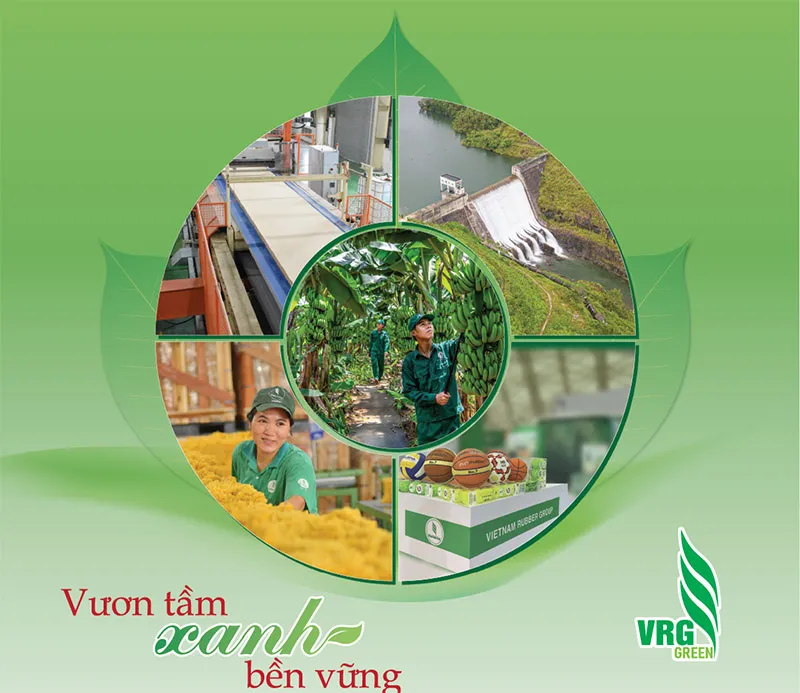 Sản phẩm 1 176891371259810092721012026 — Cao Su Phước Hòa - Công Ty Cổ Phần Cao Su Phước Hòa — MST 3700147532