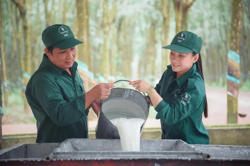 Sản phẩm cao su viet nam vrg chuyen doi xanh16383731032026 — Cao Su Phước Hòa - Công Ty Cổ Phần Cao Su Phước Hòa — MST 3700147532
