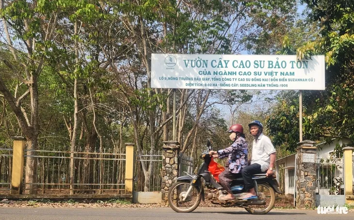 Sản phẩm dai dien17055222012026 — Cao Su Phước Hòa - Công Ty Cổ Phần Cao Su Phước Hòa — MST 3700147532