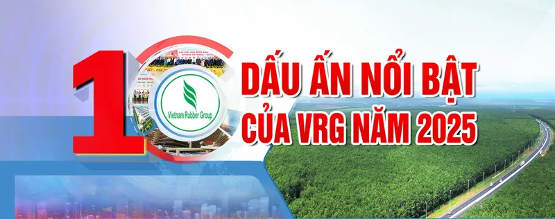 Sản phẩm Hinh minh hoa16271612022026 — Cao Su Phước Hòa - Công Ty Cổ Phần Cao Su Phước Hòa — MST 3700147532