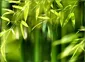 Sản phẩm sustainability image menu 2 85x62 — Công Ty Cổ Phần Đầu Tư Thái Bình — MST 3700148737