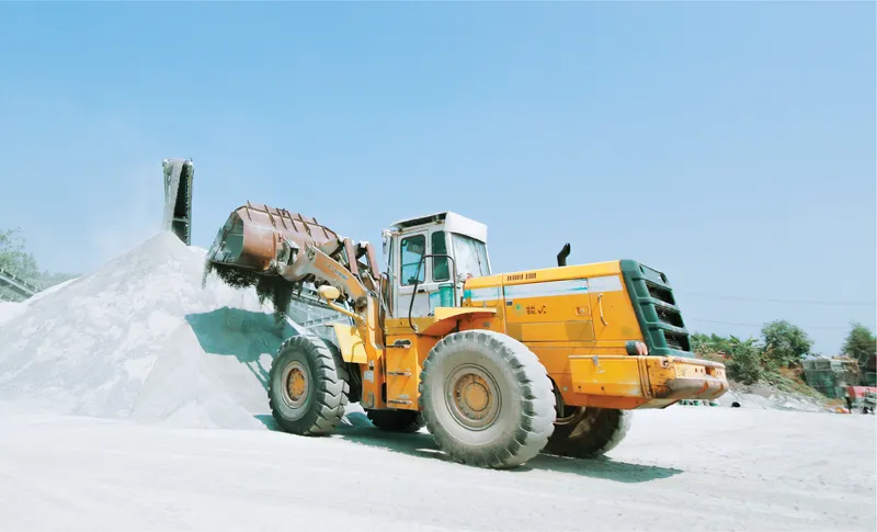 Sản phẩm img 2 — Công Ty Cổ Phần Khoáng Sản Và Xây Dựng Bình Dương — MST 3700148825