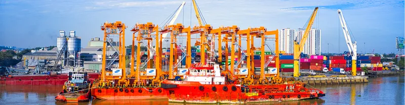 Sản phẩm DNrgStdSf — Công Ty TNHH Daso — MST 3700149931